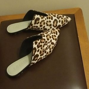 Women's Shoes